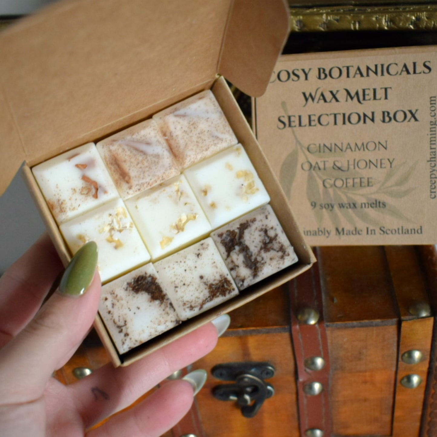 Cosy Botanical Soy Wax Melt Selection Box