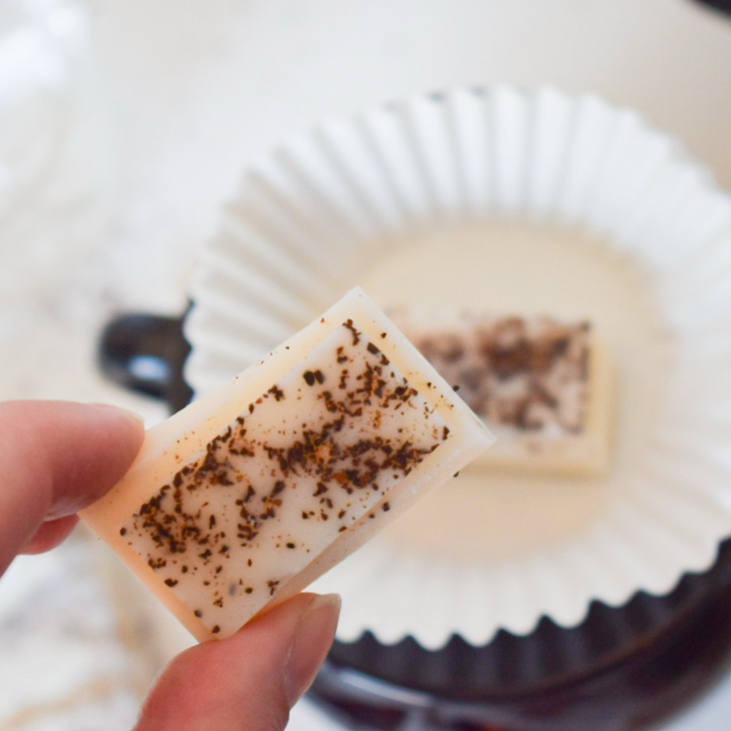 Coffee Botanical Soy Wax Melt Bar
