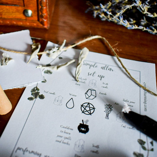 Sheet of paper with black symbols and text on a wooden surface with dried plants.